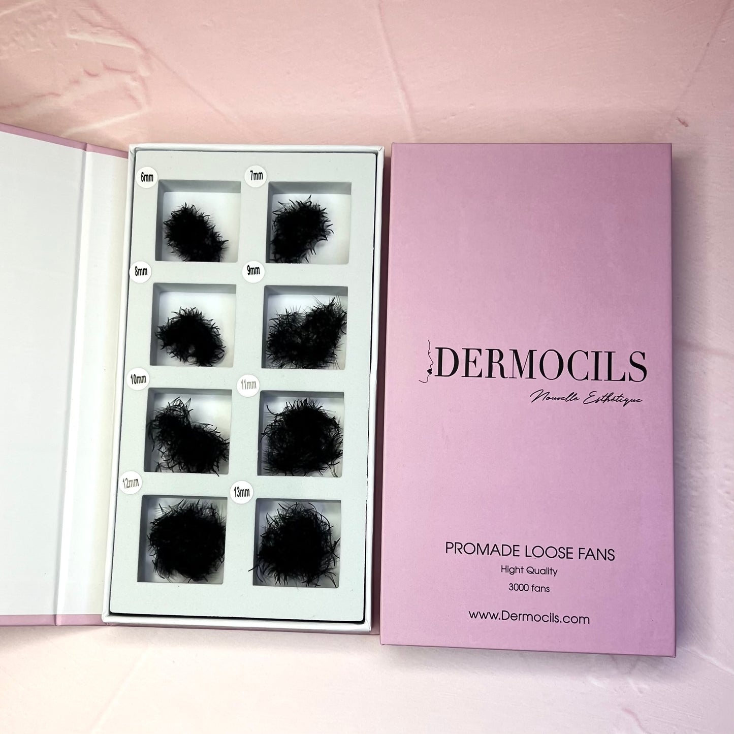 BOX ÉCONOMIQUE | 3000 FANS